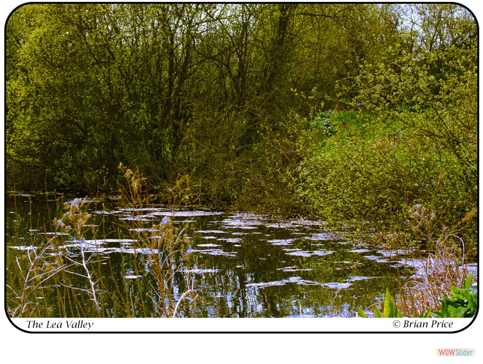 06_D1004_D041