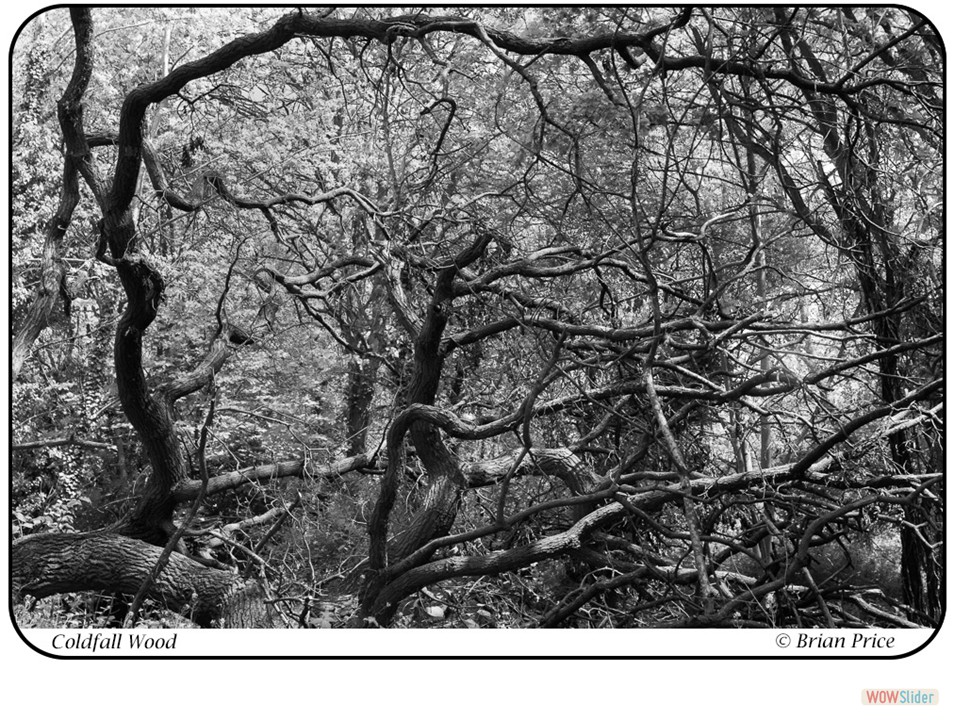 12_D1805_A054
